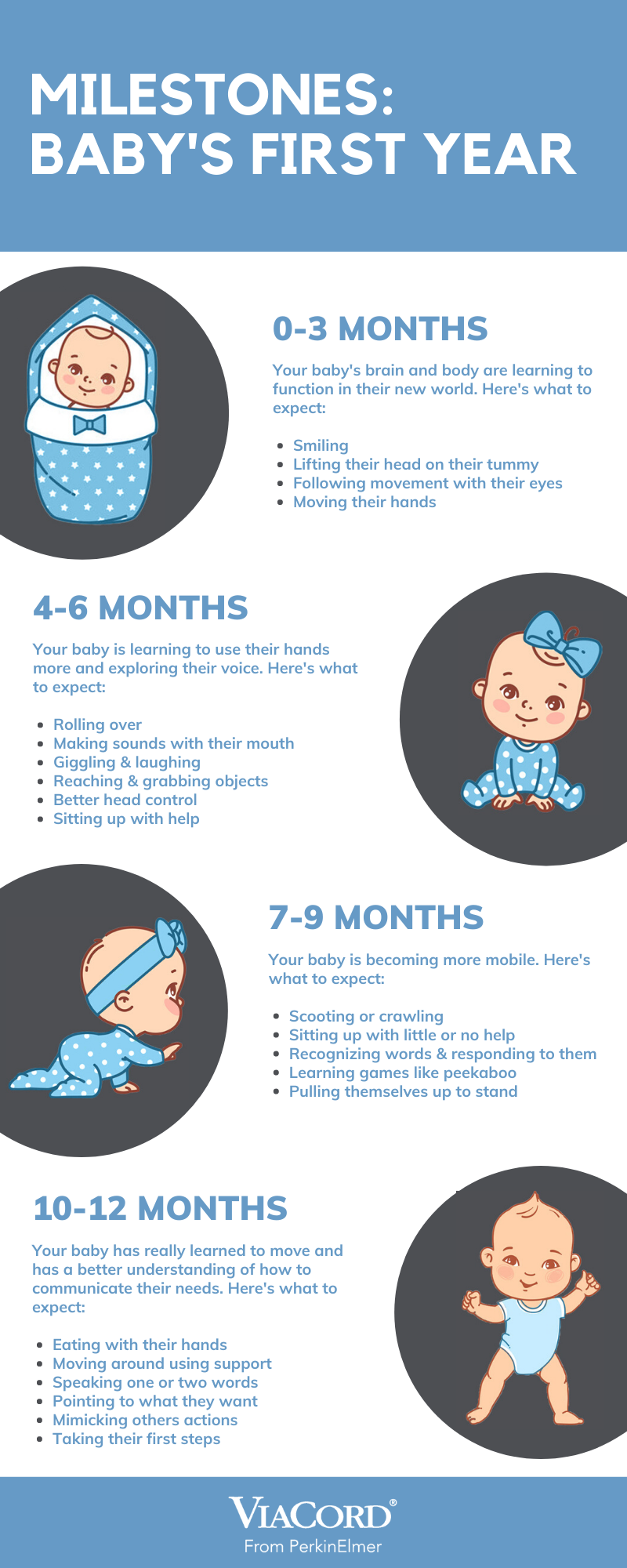 Milestones: Baby’s First Year