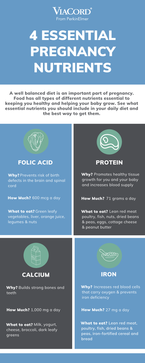 4 Essential Pregnancy Nutrients