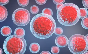 Answering . . . How Long Can Cord Blood Be Stored For? Answering . . . How Long Can Cord Blood Be Stored For?